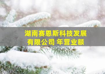 湖南赛恩斯科技发展有限公司 年营业额